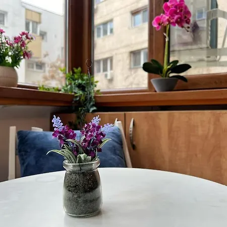 Yellow Story - Free Netflix Apartment Bucharest